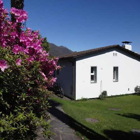 Residenza Paradiso Di Vacanze Minusio Buitenkant foto