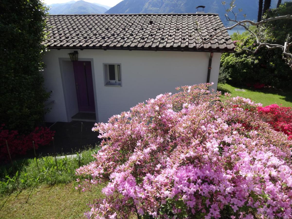 Residenza Paradiso Di Vacanze Minusio Buitenkant foto