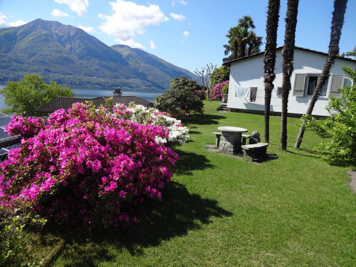 Residenza Paradiso Di Vacanze Minusio Buitenkant foto
