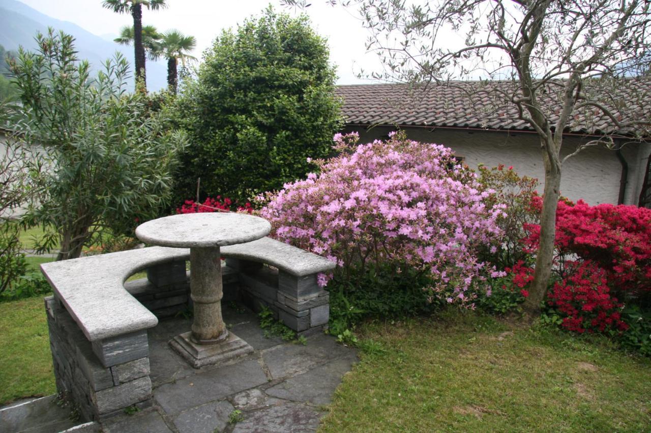 Residenza Paradiso Di Vacanze Minusio Buitenkant foto