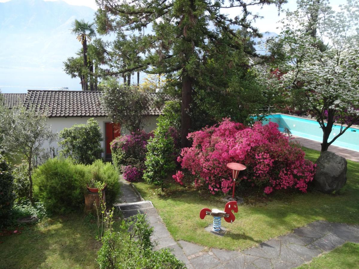 Residenza Paradiso Di Vacanze Minusio Buitenkant foto