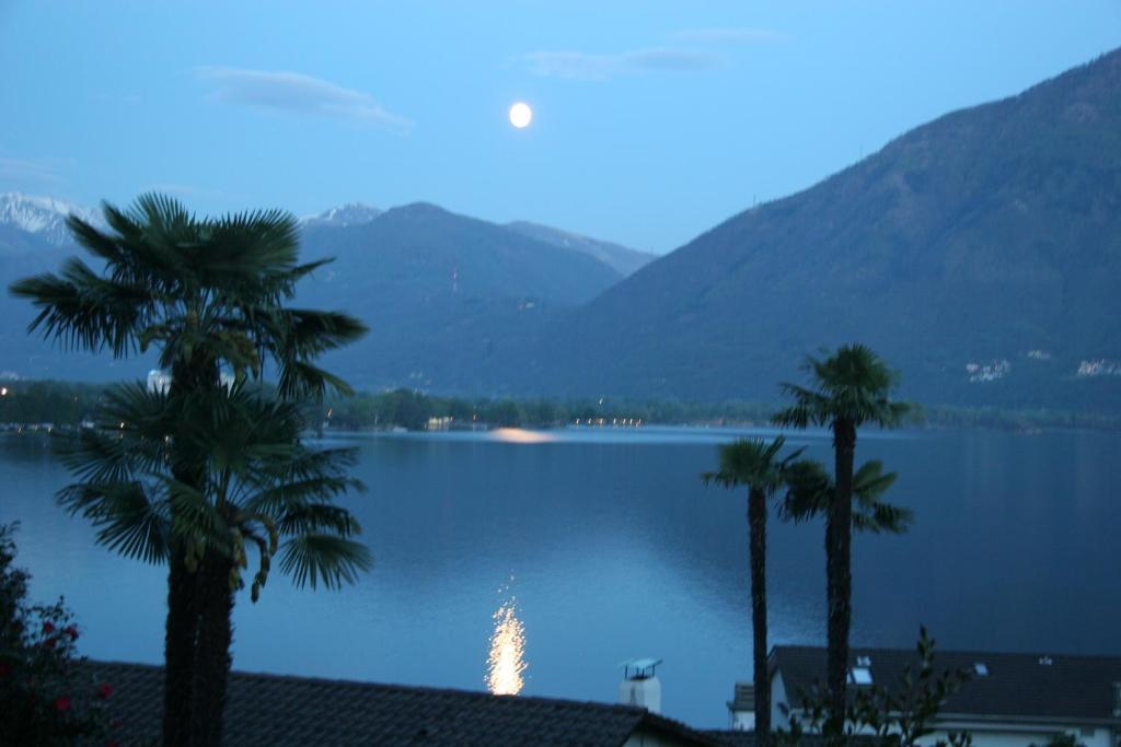 Residenza Paradiso Di Vacanze Minusio Buitenkant foto