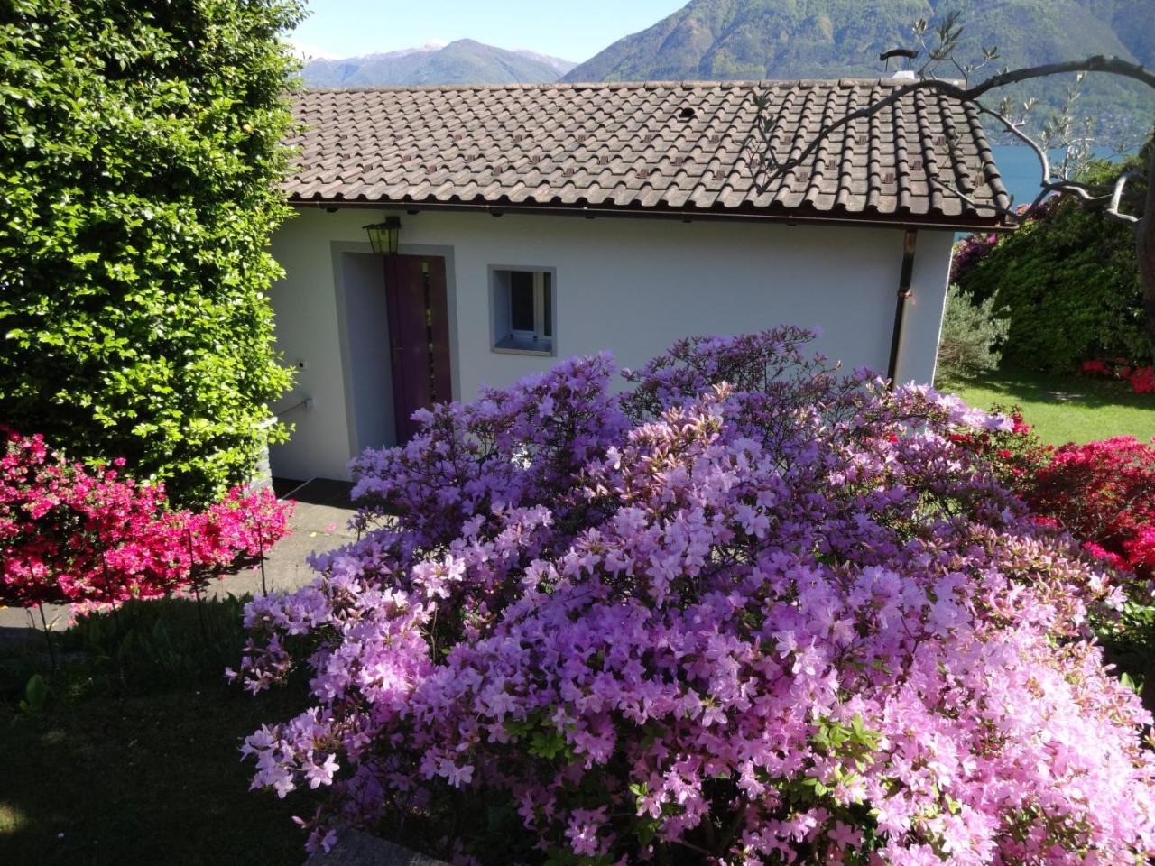 Residenza Paradiso Di Vacanze Minusio Buitenkant foto
